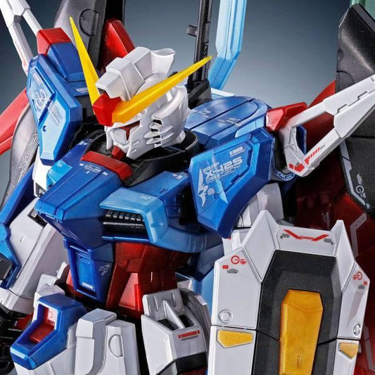 [1/144 RE / Bandai] RG 1/144 Destiny Gundam Titanium Finish Plastic Model Limited Edition - TinyTokyoToys