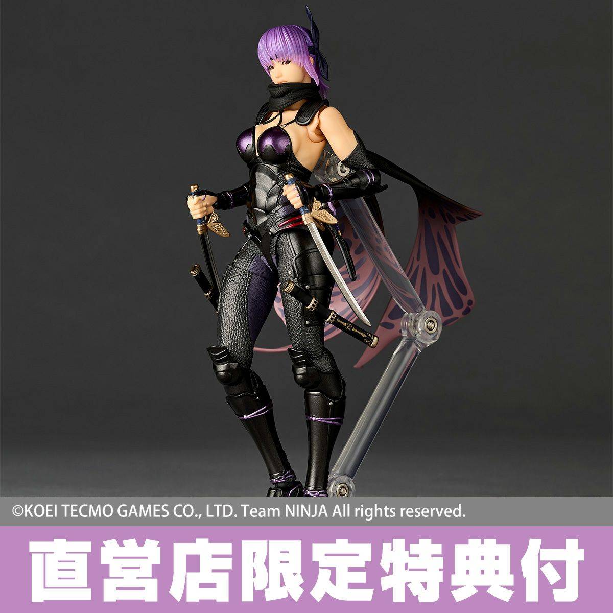 [Kaiyodo] Amazing Yamaguchi/Revoltech: Ninja Gaiden III - Ayane (Limited Edition + Bonus)