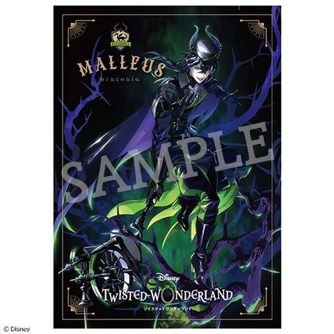 [Aniplex] Disney Twisted Wonderland: Malleus Draconia -1/8 (Limited Edition)