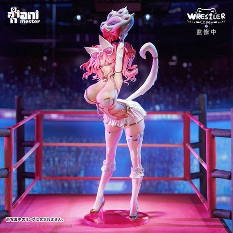 [AniMester] Original Character: Nyan Nyan Female Wrestler Casey 1/6