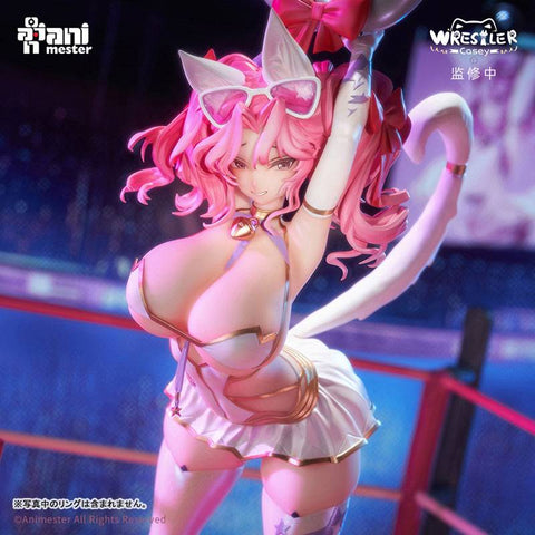 [AniMester] Original Character: Nyan Nyan Female Wrestler Casey 1/6